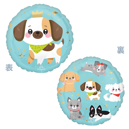 AG17����� ���磻�� �ѥԡ� ANG47901