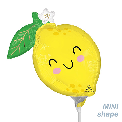 AG�ߥ�SHP �ա��� �ե�� ���� ANG47905