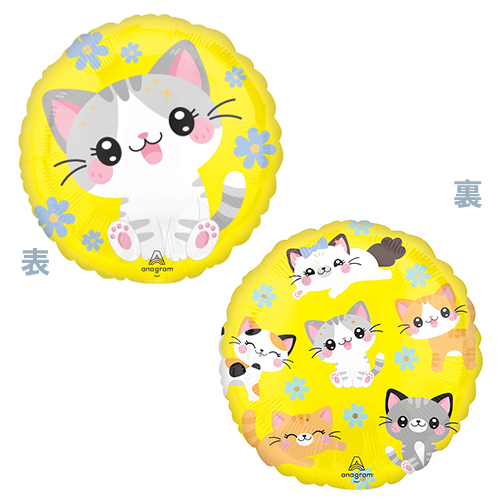 AG17����� ���磻�� ���ƥ� ANG47917