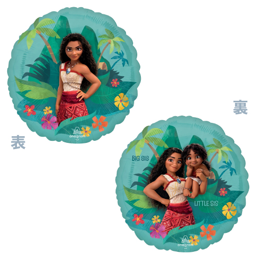 AG17����� �⥢��2 ANG48515