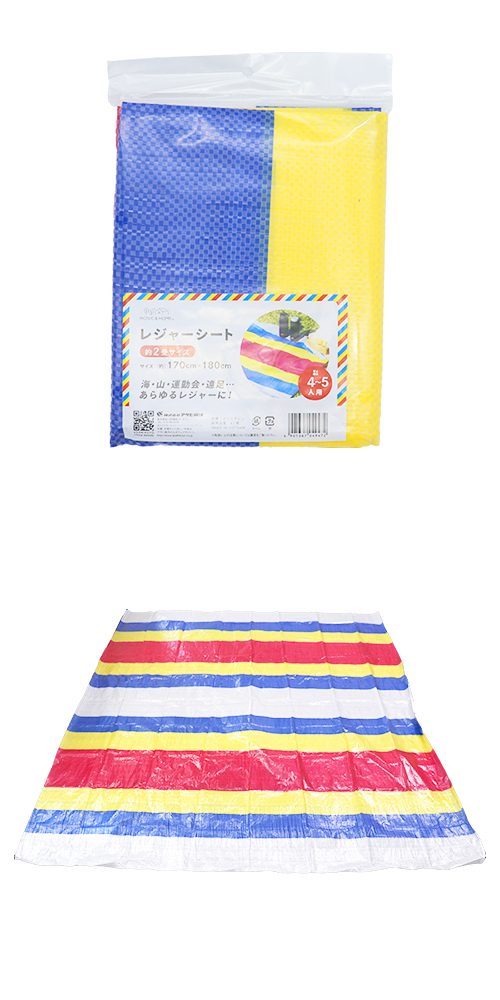 2ѥ쥸㡼 ASKNS04947