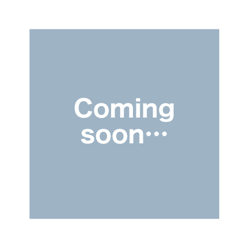 �ӥˡ���衼�衼�������� DICVY70982