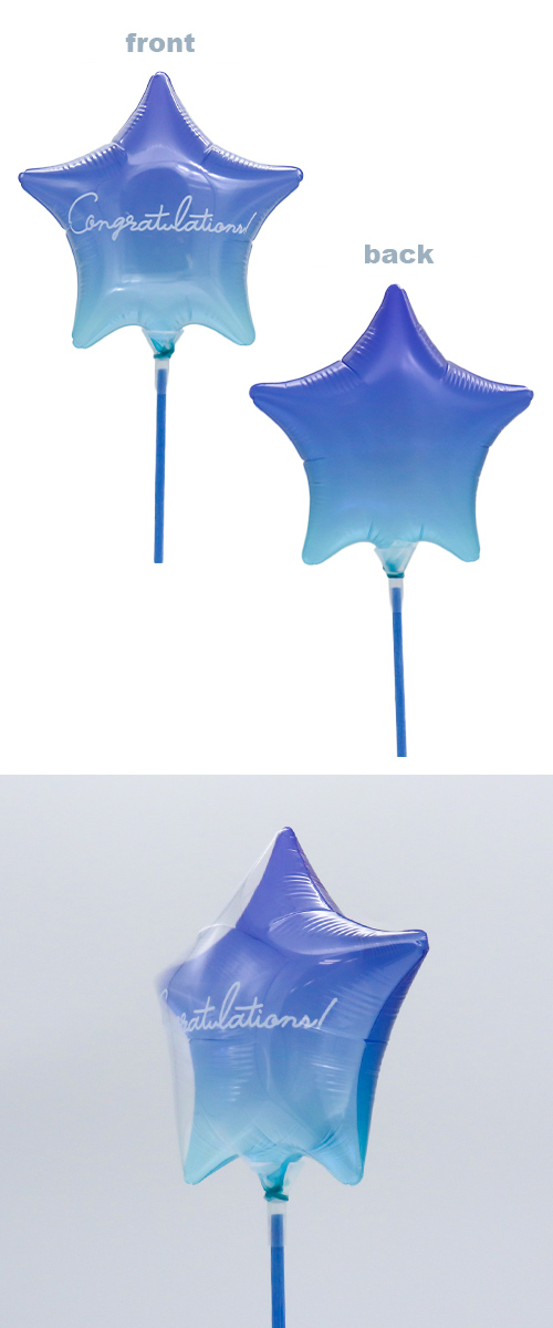 クリアメモリーズギフト　130mmスターカクテルグラスコルコバードCOG　 KIS27334
