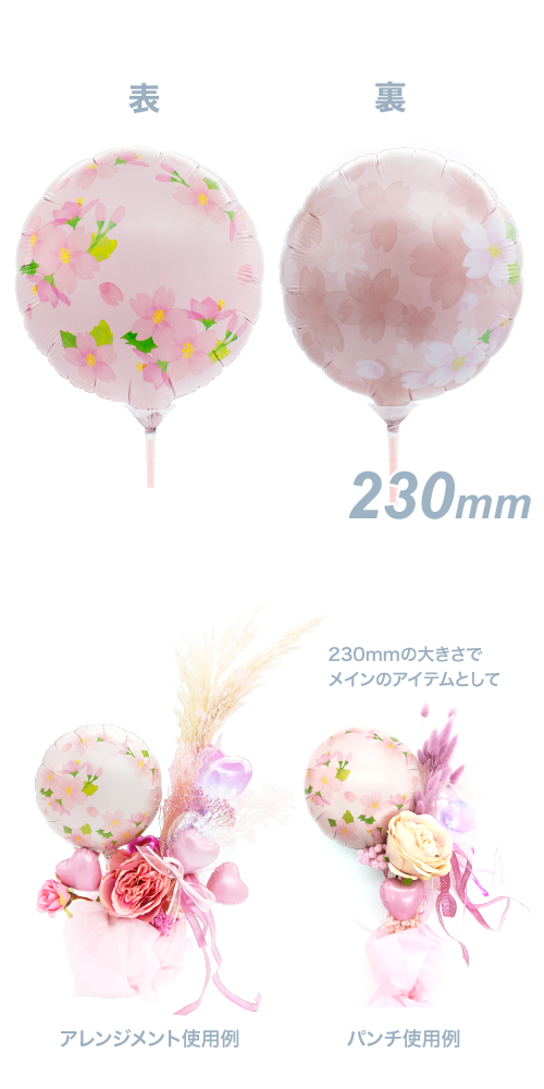 メモリーズギフト230mm　サクラ咲く KIS27518