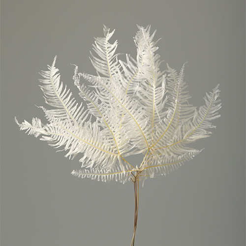 ���ɥ饤�ե������������� OOC02226