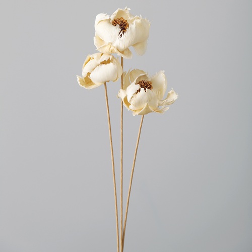 ���ɥ饤�ե����ѡ���ե� OOC04004