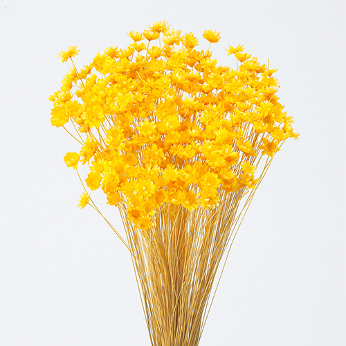 ���ɥ饤�ե����������ե����֥��å��ࡡ�������� OOC20816