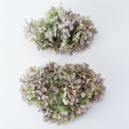 ���ɥ饤�ե� �ԥ�ߥåɥ����������إå� ���쥬�Υѡ��ץ� OOC27187