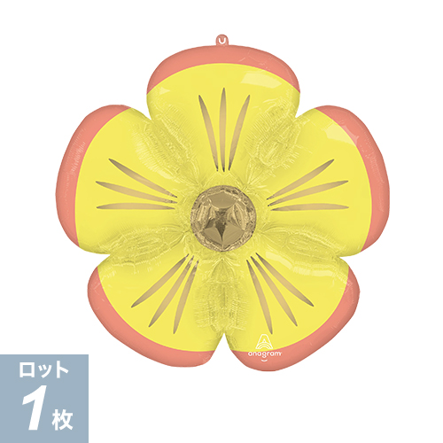 P-AGL-SHPե ֥å ǥ P-ANG45627