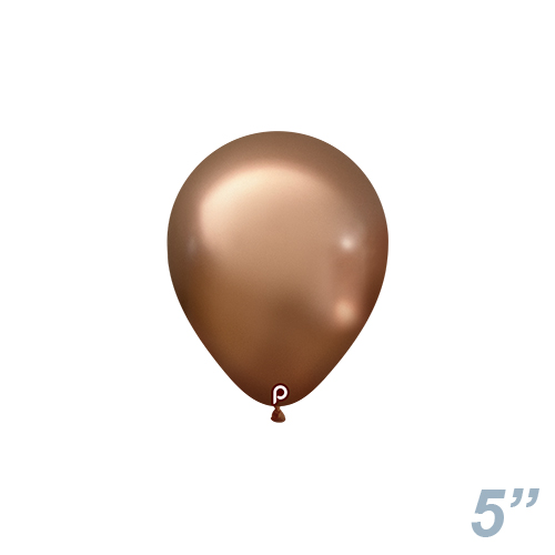 �����䢣PM5����� ����������������� PRM60572