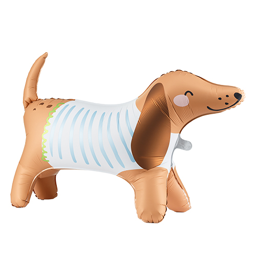 PTD ������ǥ��󥰥Х롼�� ���å����ե�� PTD06470