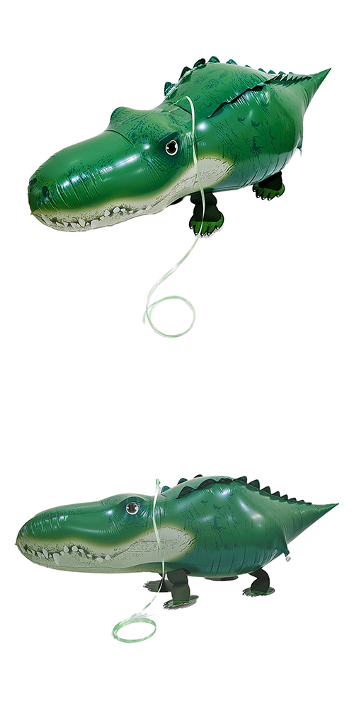 �������ˤ��� SAG08857