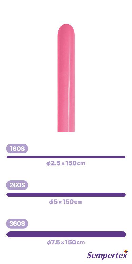 SM260S եå  SEM41659