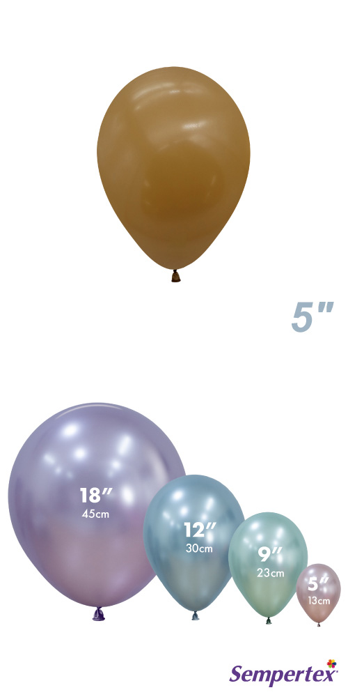 SM5(13cm) եå ⥫ SEM41843