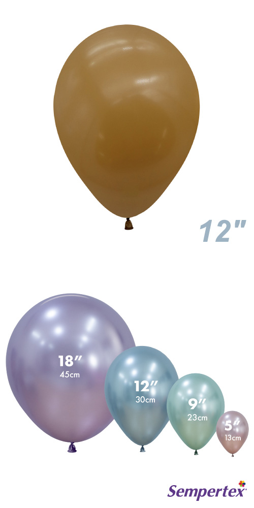 SM12(30cm) եå ⥫ SEM41851