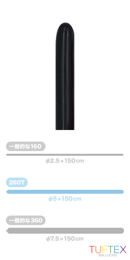 TT260T スタンダード ブラック TUF26078