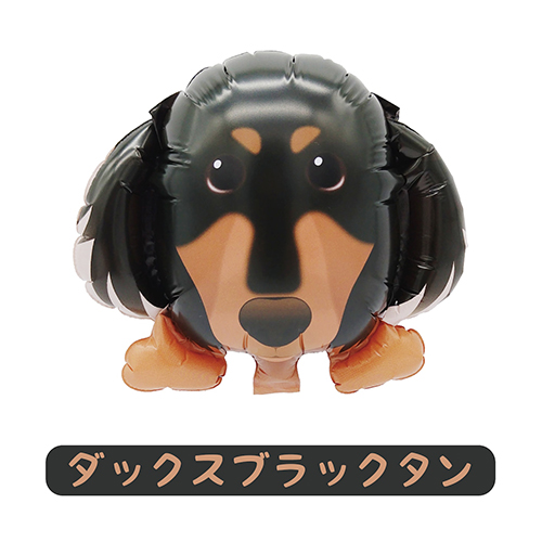 �ߥˤ�󤳥Х롼�� ���å����֥�å����� YKH37896