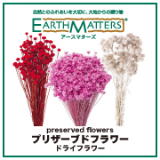 大地農園のドライフラワープリザーブドフラワー